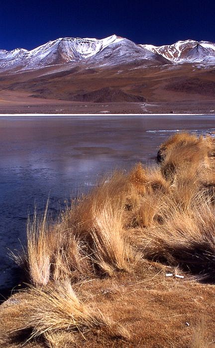 désert bolivien